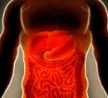 Boala ischemică a intestinului