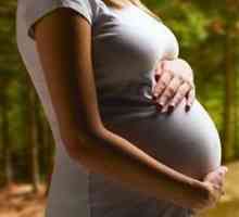 Cale de atac eficientă și în condiții de siguranță pentru hemoroizi în timpul sarcinii