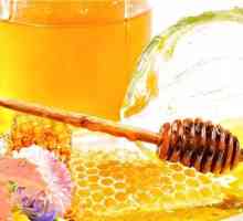 Tratamentul eficient al aloe stomacului și miere