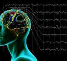 EEG în epilepsie - în special studiul și instalarea diagnosticului