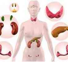 Tulburări endocrine la femei: Simptome, Diagnostic