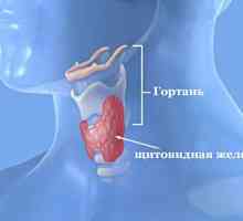 Ce se întâmplă dacă doare glandei tiroide