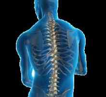 Cum de a face un RMN a coloanei vertebrale: indicatii si in special de cercetare