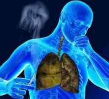 Cum pentru a curăța plămânii fumătorului în casă: purificarea plămânilor și a bronhiilor de nicotină