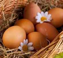 Cum de a identifica paraziți în ouă de pui