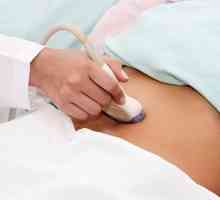 Cum să se pregătească pentru o ecografie abdominala?