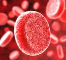 Cum de a crește hemoglobina