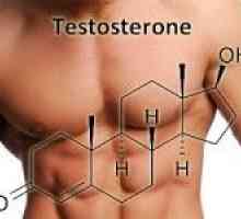 Cum de a crește nivelul de testosteron din organism?
