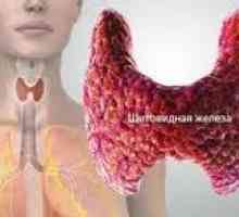 Cum de a verifica glandei tiroide