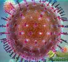 Cum sa prezinte simptome de gripă porcină într-un om și ce să facă atunci când infectate