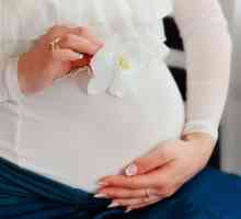 Cum se afte în timpul sarcinii și cum să-l trateze?