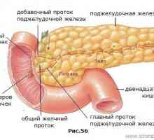 Cum este pancreatita și cum să-l trateze?
