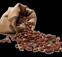 Boabele de cacao: proprietăți utile