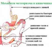 Cauzele și tratamentul hodorogit în abdomen