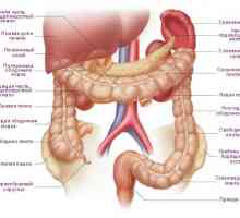 Simptomele și tratamentul tumorilor în colon