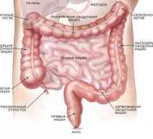 Care sunt simptomele de inflamație a colonului?