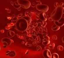 Care este rata de celule roșii din sânge la adulți și copii? Motivele pentru modificări.