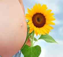 Care este corpul galben în timpul sarcinii