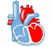 Diferite tipuri de cardiomiopatie: apariția, diagnosticarea și tratamentul bolii