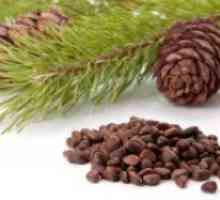 Semințe de pin: proprietăți medicinale