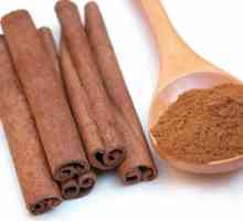 Cinnamon - o regina vechi de mirodenii