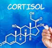 Cortizolul în sânge: diagnosticul și rata de hormon