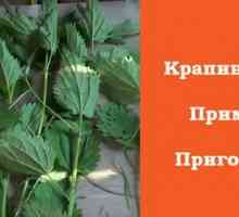 Ulei Krapivnoe: preparare și aplicare