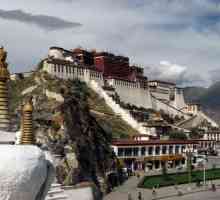 O scurtă istorie a dezvoltării medicinei tibetane
