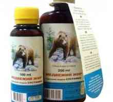 Proprietăți medicinale de grăsime de urs și aplicarea acesteia în tratamentul