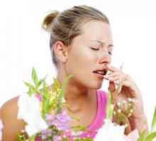 Metode populare Allergy tratament.