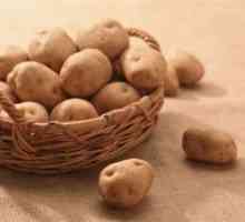 Tratarea hemoroizilor cartofi: retete populare