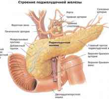 Tratamentul pancreatic