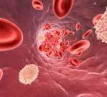 De ce în sânge sunt mai mici decât celulele albe din sange normale?