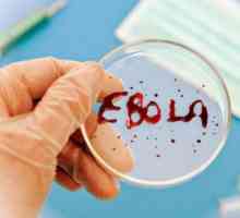 Ebola: în cazul în care este fixat, semne, pentru, dacă este posibil de a vindeca prevenirea…