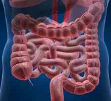Giardioza intestinale - simptome și tratament