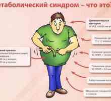 Sindromul metabolic (sindromul X)