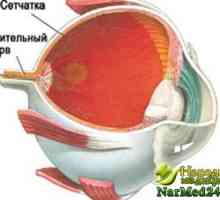 Metode de tratament clasic si popular al distrofiei retiniene