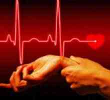 Heart Rate Monitor: Cum de a păstra ritmul cardiac sub control?