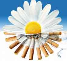 Gânduri dureroase despre cum să renunțe la fumat - remedii populare va ajuta în acest