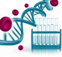 Mutația genelor hemostaza: manifestări și consecințe