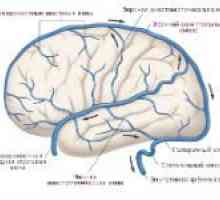 Violarea fluxului venos cerebral