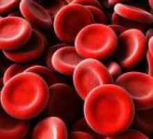 Numărul Norm de celule roșii din sânge
