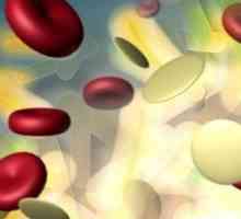 Norma leucocitelor în urină de bărbați, motivele pentru creșterea numărului de celule albe din…