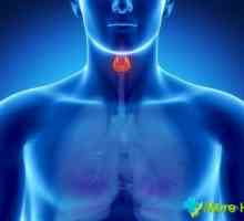 Volumul norma al glandei tiroide la femei: indicatori, metode de inspecție