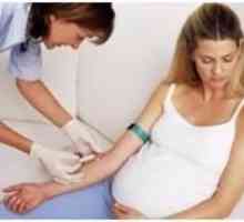 Norma tiroidian-hormon de stimulare, sau TSH în timpul sarcinii: 1 trimestru
