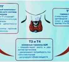Normele de hormoni tiroidieni TSH, T3 și T4
