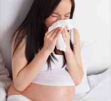 Este necesar de a vindeca alergia pentru femeile gravide? Consultați un alergolog!