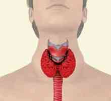 Ce se poate spune pentru a difuza modificări ale glandei tiroide