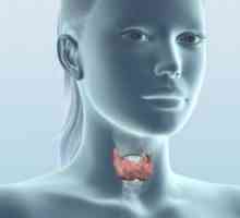 Despre chist tiroidian