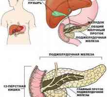 Criterii pentru boala noastră pancreasului